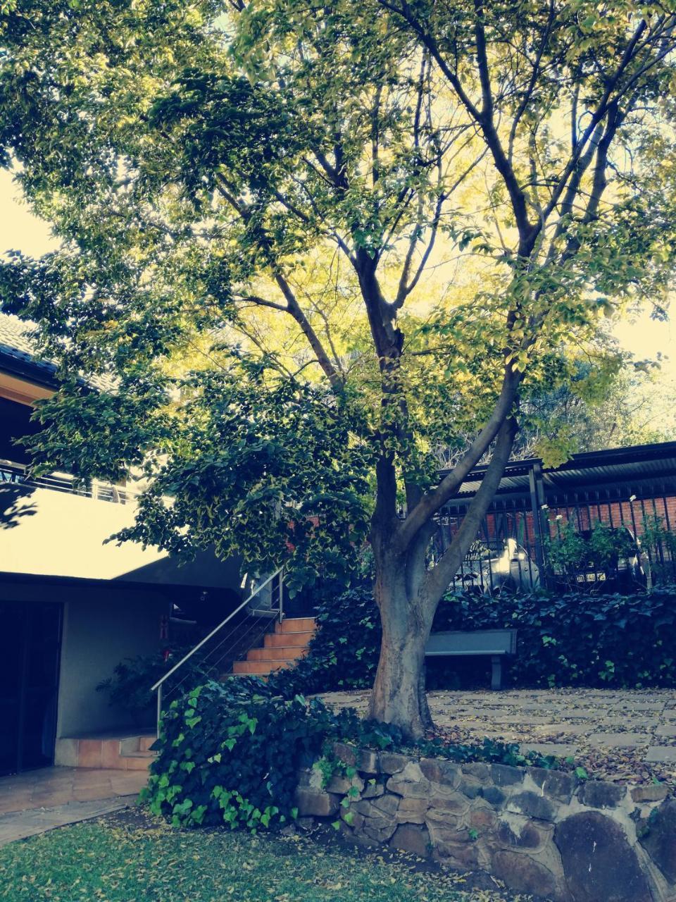 בלומפונטייין Belmont Guesthouse מראה חיצוני תמונה